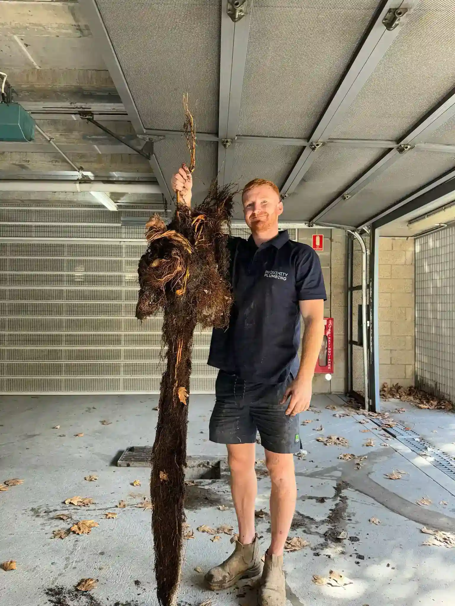 Recent Community Projects